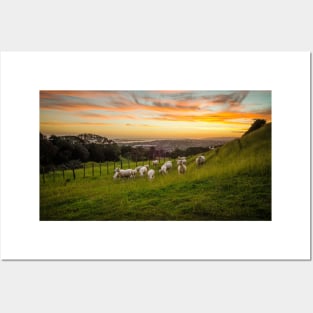 Sheep on One Tree Hill Posters and Art